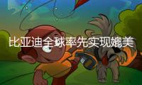 比亚迪全球率先实现媲美L4级智能泊车
	，承诺中国市场全面兜底