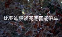 比亚迪承诺兜底智能泊车！媲美L4级体验	，出了问题官方赔付