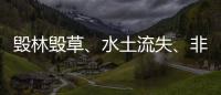 毁林毁草、水土流失、非法采矿……中央生态环保督察集中通报3省区典型案例