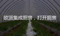 欧派集成厨房，打开厨房设计新方向丨欧派橱柜