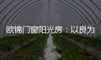 快排公司十年历程，霸屏兔 seo 的崛起与坚守