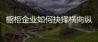 橱柜企业如何抉择横向纵向发展？