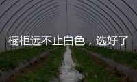 橱柜远不止白色，选好了让厨房美出新高度