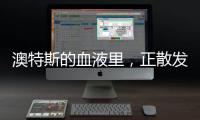 澳特斯的血液里，正散发着浓浓的工匠精神
