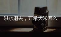 洪水退去，五常大米怎么样了
？