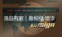 快排公司十年历程，霸屏兔 seo 的崛起与坚守