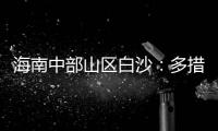 海南中部山区白沙：多措并举奏响乡村振兴曲 ——访白沙黎族自治县县委书记刘蔚