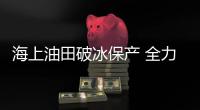 快排公司十年历程，霸屏兔 seo 的崛起与坚守