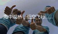 海中观桥，低空飞行……深中通道西人工岛将开放旅游！