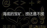 海底的宝矿	，捞还是不捞？｜世界海洋日