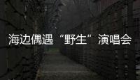 海边偶遇“野生”演唱会！珠海的夜晚 总有意想不到的惊喜
