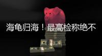 海龟归海
！最高检称绝不放纵破坏资源环境非法行为