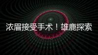 浓眉接受手术！雄鹿探索签换库明加，瓦兰首度发声，约基奇新决定