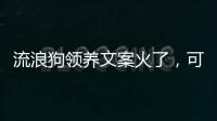 流浪狗领养文案火了，可心动，别冲动