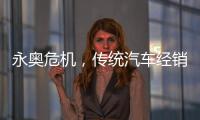 永奥危机，传统汽车经销商之困