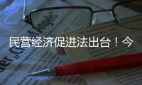 民营经济促进法出台！今年5月20日起施行