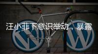汪小菲下意识举动，暴露真实人品	
，终于明白大S和马筱梅谁在说谎