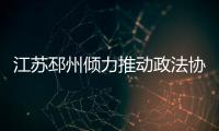 快排公司十年历程，霸屏兔 seo 的崛起与坚守