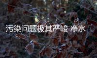 快排公司十年历程，霸屏兔 seo 的崛起与坚守