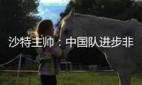 沙特主帅
：中国队进步非常明显 希望我们能获胜