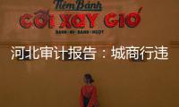 河北审计报告	：城商行违规放贷406亿
，344辆公务用车被违规租赁