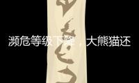 濒危等级下降�，大熊猫还需要保护吗	�？