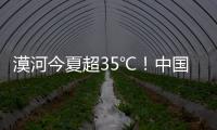 快排公司十年历程，霸屏兔 seo 的崛起与坚守