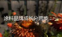 快排公司十年历程，霸屏兔 seo 的崛起与坚守