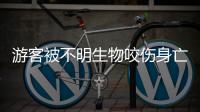 游客被不明生物咬伤身亡�，三亚通报救治详情