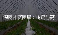 温网补赛困局：传统与高温下的赛程危机