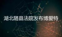 快排公司十年历程，霸屏兔 seo 的崛起与坚守