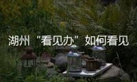 湖州“看见办”如何看见 ：20点播批评报道，21点须研究整改