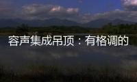 容声集成吊顶
：有格调的吊顶 就应该是这样的