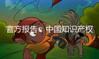 官方报告：中国知识产权公共服务能力和水平不断提升