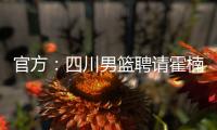 快排公司十年历程，霸屏兔 seo 的崛起与坚守