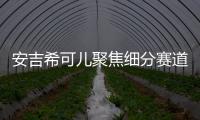 安吉希可儿聚焦细分赛道
，在国货品牌中大放异彩