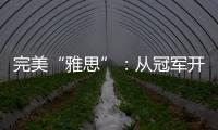 快排公司十年历程，霸屏兔 seo 的崛起与坚守