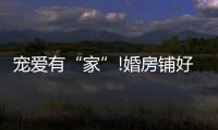宠爱有“家”!婚房铺好世友地板，就结婚吧