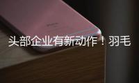 头部企业有新动作�！羽毛球又掀“涨价潮”？