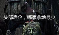头部房企，哪家拿地最少