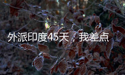 外派”我羡慕又惭愧