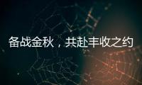 备战金秋，共赴丰收之约
！潍柴WP6/WP7H收获机动力批量交付