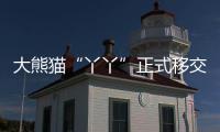 大熊猫“丫丫”正式移交中方！