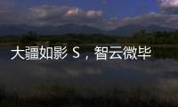 大疆如影 S，智云微毕S怎么样?