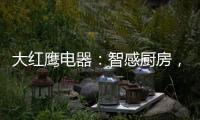 大红鹰电器
	：智感厨房，智慧非凡，解锁智能新生活