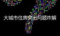 大城市住房突出问题咋解决�？依靠这些工作来落实