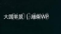 大国丰景 ｜ 潍柴WP4.6N收获机动力，低速高效真省油！