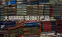 大明照明·吸顶灯产品�：领略艺术瑰丽 感受光影魅力