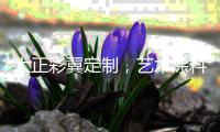 大正彩翼定制
，艺术涂料演绎空间气质
