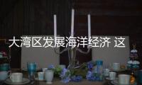 大湾区发展海洋经济 这件“小事”为何这么关键？